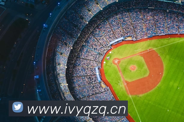 196体育最新官方网站下载(中国) - 官方网站APP 封面图